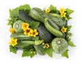 Food top view basket of zucchini with flowers and leafs isolated