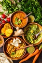 Food traditional Indian cuisine. Dal, palak paneer, curry, rice, chapati, chutney in wooden bowls on dark background Royalty Free Stock Photo