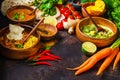 Food traditional Indian cuisine. Dal, palak paneer, curry, rice, chapati, chutney in wooden bowls on dark background Royalty Free Stock Photo