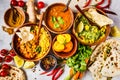 Food traditional Indian cuisine. Dal, palak paneer, curry, rice, chapati, chutney in wooden bowls on white background Royalty Free Stock Photo