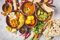 Food traditional Indian cuisine. Dal, palak paneer, curry, rice, chapati, chutney in wooden bowls on white background Royalty Free Stock Photo