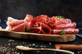 Food tray with delicious salami, coppa, crudo and herbs. Meat platter with selection on rustic table