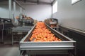 food factory harvest production citrus fruit orange processing process conveyor. Generative AI. Royalty Free Stock Photo
