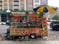 Food Trucks vendors in New York City, USA Royalty Free Stock Photo