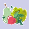 Food vegetable menu fresh diet ingredient pear radish and lettuce