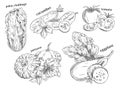 Food vegetables isolated sketches