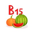 Food with vitamin B15 pangamic acid . Ripe watermelon and pumpkin. Natural and organic products. Flat vector for mobile
