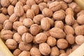 Wallnuts food nutshell brown Royalty Free Stock Photo