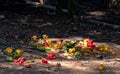 Food Waste - An Assorment of Peppers in a Pig Pen