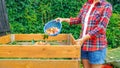 Food waste in a compost bin close-up. Making compost in a DIY wooden box for soil enrichment. Kitchen waste, lawn clippings as