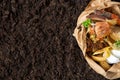 Food waste.compost from food waste. environmental control Royalty Free Stock Photo