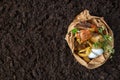 Food waste.compost from food waste. environmental control Royalty Free Stock Photo