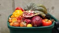 Food Waste in Grocery Store Retail. Discarded unsold damaged fruits and vegetables in packages. Food produced is wasted