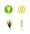 Food wheat grains logo Royalty Free Stock Photo