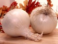 Food: White Onions Royalty Free Stock Photo