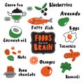 Food for your brain. Doodle illustration of different healthy food . Made in vector.