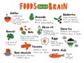 Food for your brain. Doodle illustration of different healthy food and nutrition facts. Made in vector.