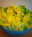 Salat eating close-up