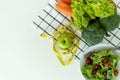 Foods that contain vegetables and fruits are good for your health. Weight loss and diet concept