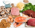 Foods Highest in Vitamin B2. Healthy eating. Royalty Free Stock Photo