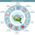Foods infographics. Green tea.