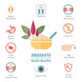 Foods infographics. Amaranthus or amaranth