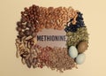 Foods rich in methionine. Natural sources of methionine are various nuts, seeds, wheat germ and eggs. Royalty Free Stock Photo