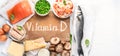 Foods rich in natural vitamin D. Panorama, banner