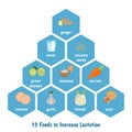 Foods to increase lactation