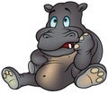 Foolish Hippo