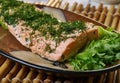 Foolproof Salmon Baked Royalty Free Stock Photo