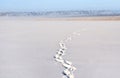 Foootsteps on lake in winter Royalty Free Stock Photo
