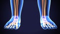 3d rendering medical illustration of the feet bone