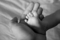 Foot the baby in adult hand. Royalty Free Stock Photo