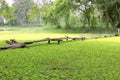 Foot bridge across the lake Royalty Free Stock Photo