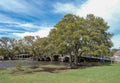 Foot Bridge at Currituck Heritage Park Royalty Free Stock Photo