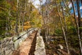 Foot Bridge Royalty Free Stock Photo