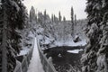 Foot-bridge Oulanka National Park. Finland. Royalty Free Stock Photo