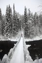 Foot-bridge Oulanka National Park. Finland. Royalty Free Stock Photo