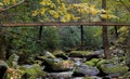 Foot bridge over Smoky Mountain stream with fall foliage Royalty Free Stock Photo