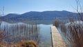 a foot bridge with reed on a lake