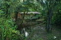 A foot bridge that is running over a small stream in a tropical garden with many lush green plants that can be found in the