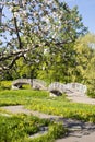 Foot bridges through river in park Royalty Free Stock Photo