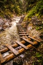 Foot-bridges in Slovak Paradise Royalty Free Stock Photo