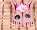 Foot care, beautiful female feet and hands with french manicure on bamboo mat with orchid flower Royalty Free Stock Photo