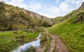 Foot of the Dovedale valley Royalty Free Stock Photo