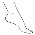Foot female from the contour black brush lines on white background. Vector illustration Royalty Free Stock Photo