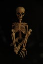 Skeleton poses, halloween, in the dark with a orangey glow