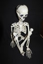 Skeleton poses, halloween, in the dark yoga