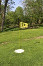 Foot golf course ball cup and flag